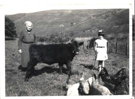 Standing with the Calf