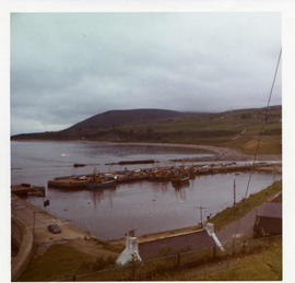 View of the Harbour