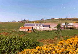 View of Houses