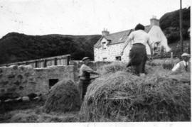 Making a Haystack