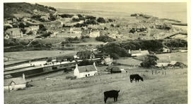 View of the Village