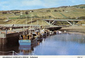 Harbour and Bridge